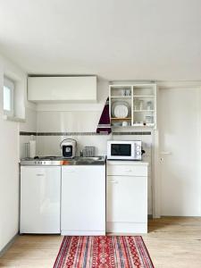 a kitchen with white appliances and a red rug at Apartment Harmony in Graz
