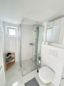 a bathroom with a glass shower and a toilet at Apartment Harmony in Graz