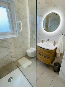 La salle de bains est pourvue d'un lavabo, de toilettes et d'un miroir. dans l'établissement Apartma Srečko, Sežana, à Sežana