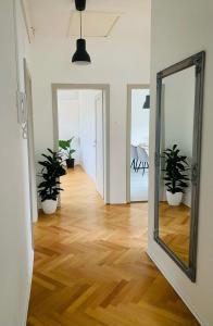 a hallway with potted plants and a mirror at Apartma Srečko, Sežana in Sežana