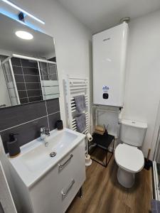 une salle de bain avec un lavabo blanc et des toilettes dans l'établissement Charmant Duplex au cœur de Vernon proche gare et Giverny, à Vernon 21 autres photos