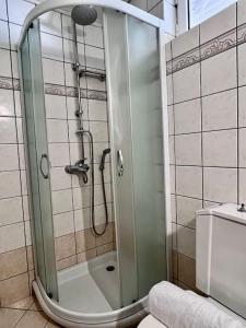 a shower with a glass door in a bathroom at Άνετο διαμέρισμα 