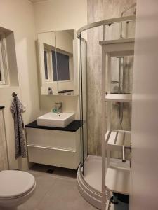 uma casa de banho com um chuveiro, um lavatório e um WC. em Vallholt em Selfoss