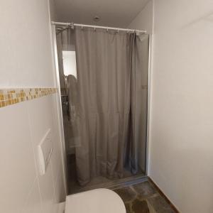 een badkamer met een douche en een toilet bij Belka am Rursee in Simmerath