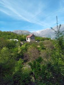 une maison sur une colline avec des montagnes en arrière-plan dans l'établissement Bujtina Aliaj, à Tropojë