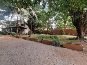 una fila di piante in vaso sul lato di una casa di Maison-Villa de charme à Cotonou a Cotonou