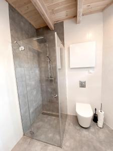 a bathroom with a shower stall and a toilet at Osada Wędkarska 52/10 in Boszkowo