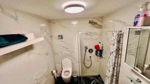 a white bathroom with a shower and a toilet at Emily’s Apartment in Blaustein +28 photos