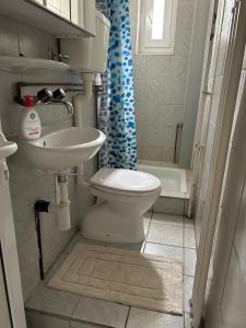 La salle de bains est pourvue de toilettes et d'un lavabo. dans l'établissement Cozy room with private bathroom, à Turgi