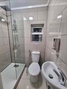a bathroom with a toilet and a shower and a sink at Plymouth Airbnb in Plymouth