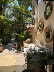 un patio con un mucchio di piante e specchi di Los Corales a Máncora