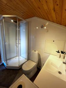 a bathroom with a shower and a toilet and a sink at Nordsjøvegen in Klepp