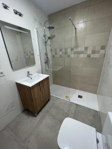 a bathroom with a shower and a sink and a toilet at Villa Elche in Elche