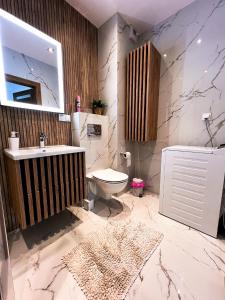 La salle de bains est pourvue d'un lavabo, de toilettes et d'un miroir. dans l'établissement Apartament Chełm, à Chełm