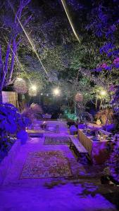 um jardim iluminado com luzes roxas à noite em Casa Sílice em Valladolid