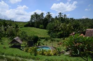 Zahrada ubytování Bali Lush