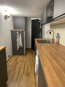 赫任斯科Villa u Rytíře的厨房配有水槽和台面