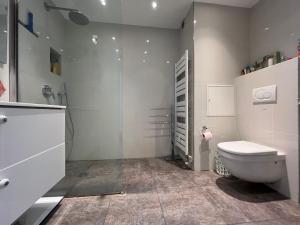 Un baño con inodoro y ducha en 2p front de mer bocca cabana, en Cannes