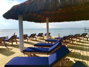 a row of chairs and an umbrella on a beach at VeLento Oceanfront #4 in Caye Caulker