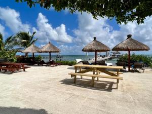 een picknicktafel op het strand met stoelen en parasols bij Sandy's Secret in Caye Caulker