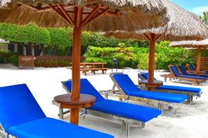 een groep blauwe stoelen en parasols op een strand bij Sandy's Secret in Caye Caulker