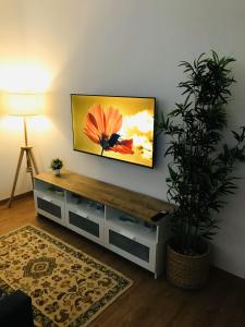 un soggiorno con TV a schermo piatto a parete di Casa de Férias MariCeu Mirandela a Mirandela