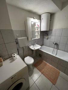 a small bathroom with a toilet and a sink at GOLD APARTMENT in Berane