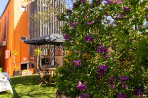 Zahrada ubytování Peach Hostel & Suites