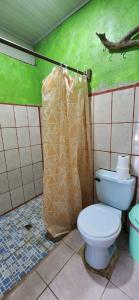 a bathroom with a toilet and a green wall at La Cascada Hostel & Restaurant in Rivas
