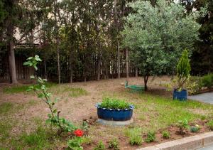 Afbeelding uit fotogalerij van Private Luxury Fes Villa in Fès