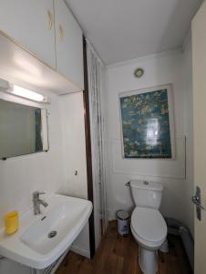 La salle de bains est pourvue de toilettes blanches et d'un lavabo. dans l'établissement 3 Chambres chez l'Habitant en Face du CHU et de l'Université de Poitiers, à Poitiers