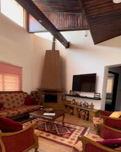 a living room with a couch and a fireplace at Mountain farm in Ajloun