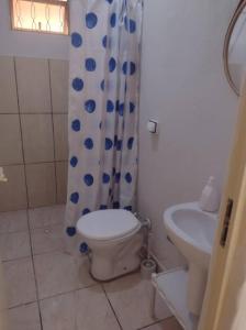 a bathroom with a toilet and a sink at Casa em Uberaba com garagem in Uberaba