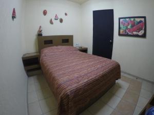 Postel nebo postele na pokoji v ubytování Hospedaje La Mexicana