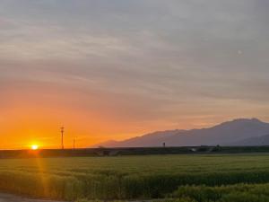a sunset over a field with mountains in the background at 日常を忘れる静かな空間の宿クレンリネスDanDan 