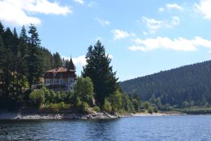 a house on the shore of a body of water at Seehotel Hubertus in Schluchsee