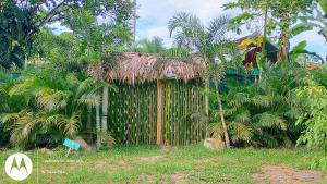 a small hut with a thatched roof and palm trees at El Tucán Feliz - Jungle tiny guest house by Playa Cocles in Cocles