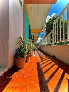 Fotografie z fotogalerie ubytování Luky's Rooms v destinaci San Andrés