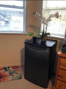 een kleine zwarte koelkast met planten erop bij Private 1 bedroom 1 bath with separate entrance in a house in Burnaby