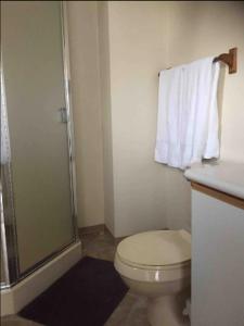 een badkamer met een wit toilet en een douche bij Private 1 bedroom 1 bath with separate entrance in a house in Burnaby