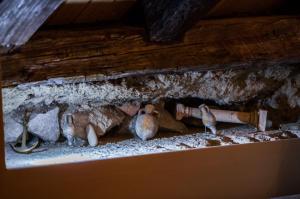 a group of birds standing in a cave at Guest House Roman Horizon in Split