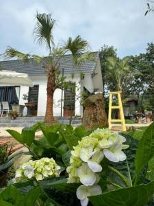 un jardin avec des fleurs blanches en face d'une maison dans l'établissement Đông Sơn Mountain Villa, à Bắc Ninh