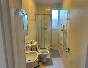 uma casa de banho com um WC, um lavatório e um chuveiro em Wembley Stadium Serviced Apartment 2, 12mins to Central London em Londres