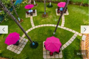 - une vue sur le parc avec des parasols roses dans l'établissement Hotel The Golden Shivam Resort - Big Swimming Pool Resort In Goa, à Goa