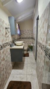 bagno con lavandino e servizi igienici di Ocean View Apartment a Soufriere