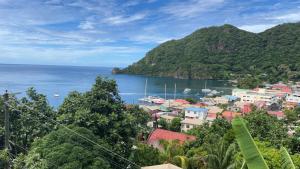 a view of a town and the ocean at Ocean View Apartment in Soufrière