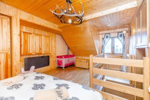 a bedroom with a bed and a tv in a cabin at Chatka Gaździnek in Czarna Góra