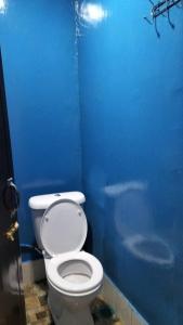 ein blaues Bad mit einem WC und einer blauen Wand in der Unterkunft Marina's Redang Boat in Pulai Redang