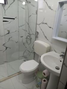 La salle de bains est pourvue de toilettes, d'une douche et d'un lavabo. dans l'établissement Villa Baka 14, à Durrës