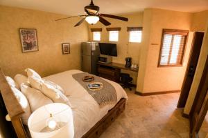 a bedroom with a bed with a ceiling fan and a desk at Beachside Bliss Studio, Walk to the Marina and Beach in Cabo San Lucas
